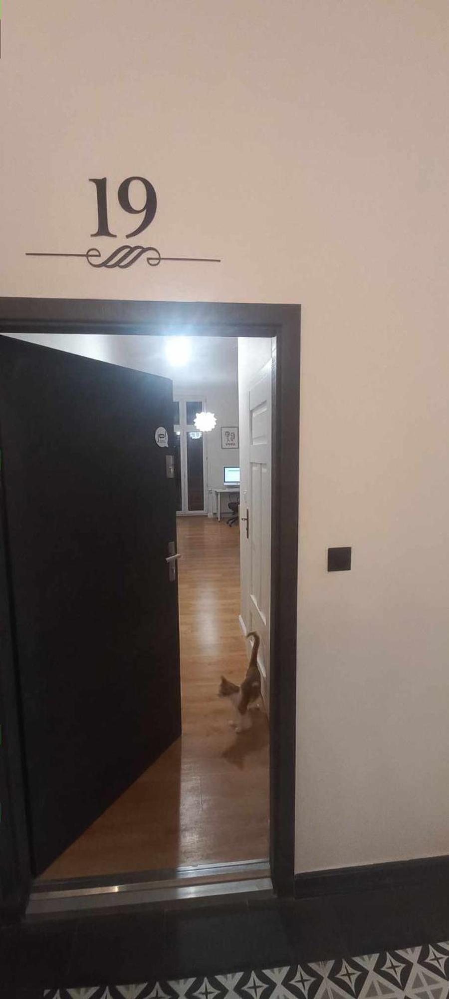 Grudziadzkie Atelier Dla Podroznikow Apartamento Exterior foto